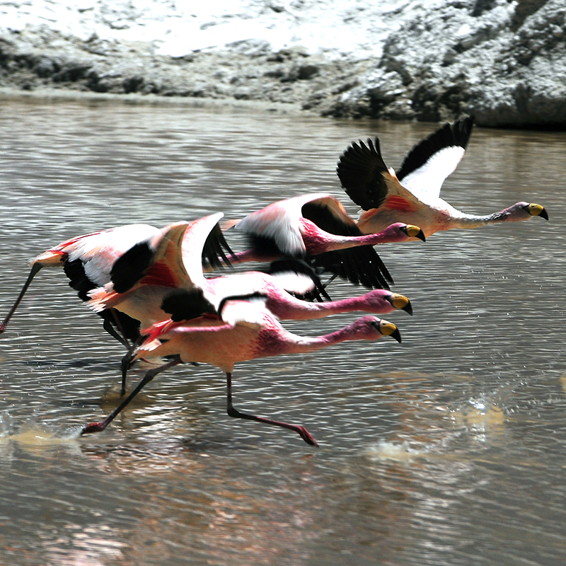 Salar de litio aéreo